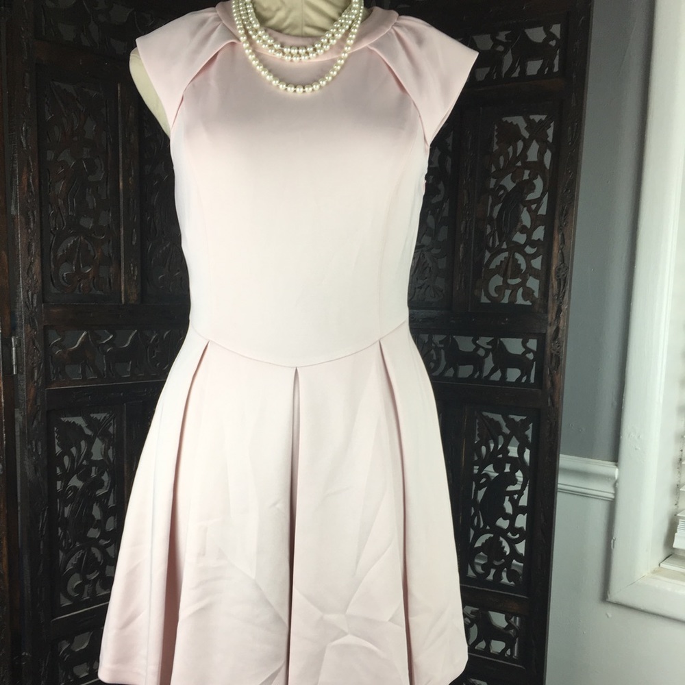 Ted Baker Kipp Dress 2 US 6 Pale Pink